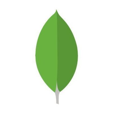 MongoDB Atlas